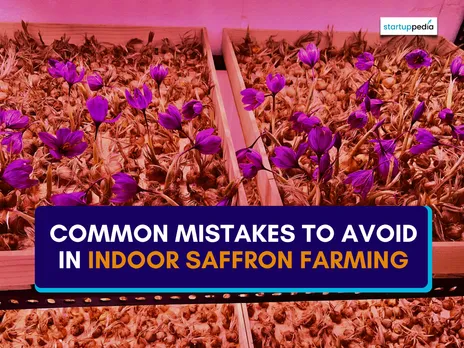 website (1110 x Common Mistakes to Avoid in Indoor Saffron Farming