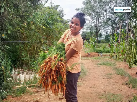 Copy of website (1110 x 960 px) (3) (1)