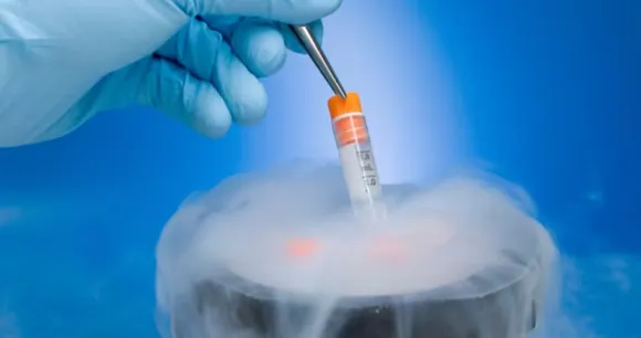 freezing eggs.jpg