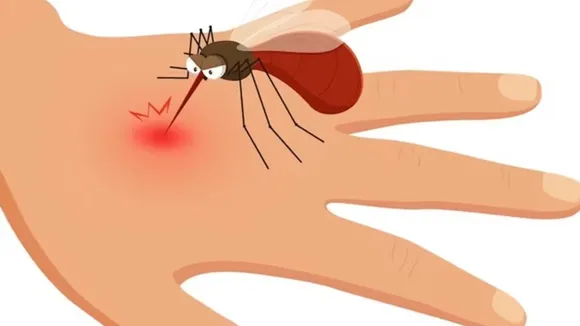 dengue.jpg