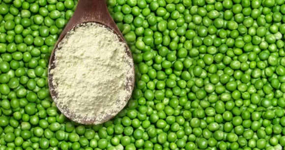 pea protein.jpg