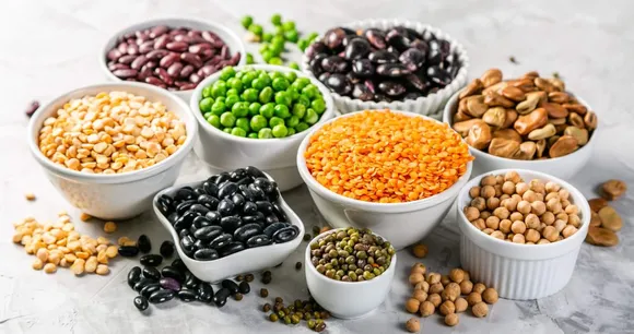 plant protein.jpg