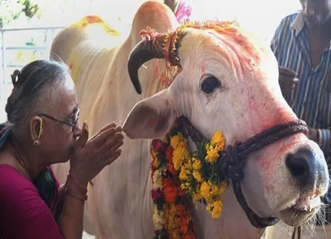 மாட்டிறைச்சி வைத்திருந்ததாக இளைஞர் மீது தாக்குதல்