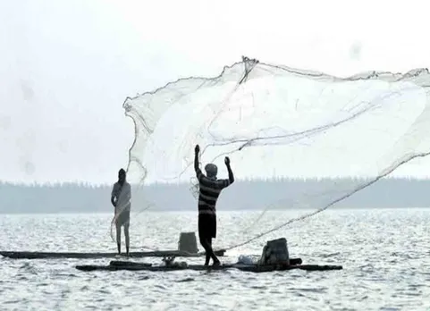 Fish ban