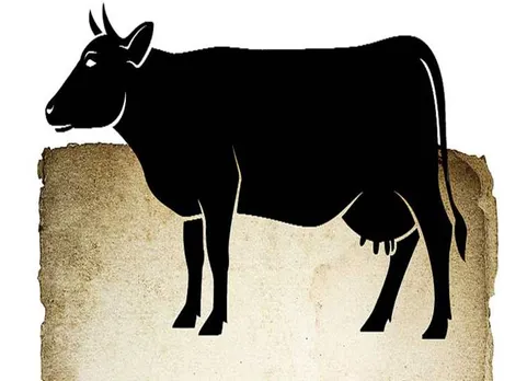 cow thieves, Jalpaiguri district, west bengal, பசு கடத்தல், மேற்கு வங்கம், அடித்துக் கொலை, கால்நடை, இஸ்லாமியர்கள், cow slaughter, Muslims