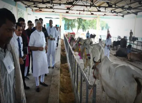 கட்சியை விட எங்களுக்கு நாடு தான் முக்கியம்: பிரதமர் மோடி