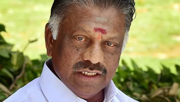 deputy cm o.panneerselvam, aiadmk, tamilnadu government, dmk, m.k.stalin, chennai high court, gutkha, ops faction 11 mla's disqualification case