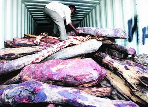 Red sanders, Andhra Pradesh, Red sanders smuggler, Red Sandal Wood,