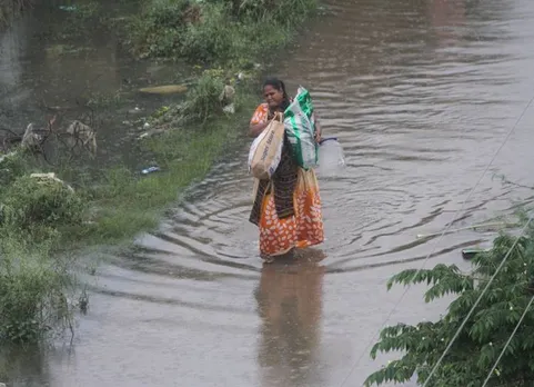 chennai rains,chennai high court, tamilnadu government, local body elections,