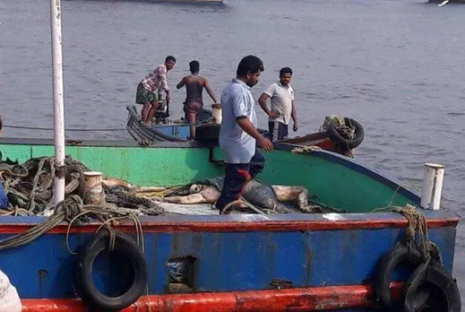 Kanyakumari District, Thoothur, Chinnadurai, Vallavilai, Kerala State, Sea, Fishermen, Kanyakumari Fishermen, Tamilnadu Fishermen, Cyclone Ockhi, deep sea fishermen