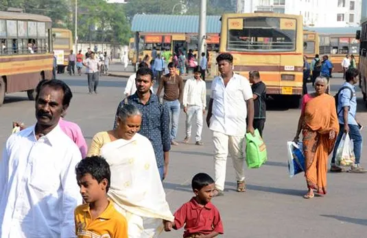 சிறப்பு பேருந்துகள்