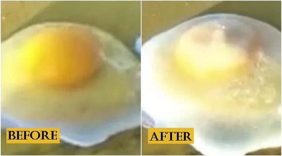 frozen-egg_china_759_yt