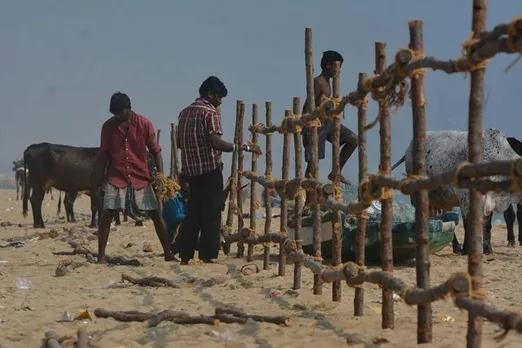 merina - kanum Pongal