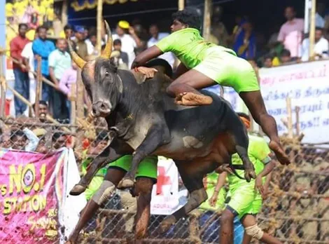 Palamedu, Jallikattu, Youth death