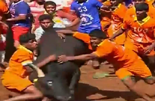 pongal 2018