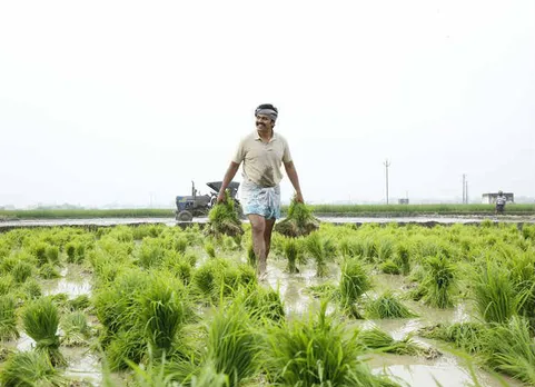 kadaikutty singam