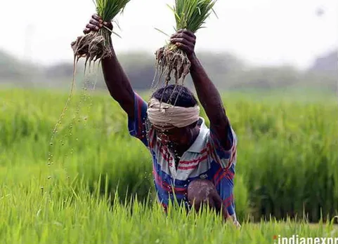 farmer