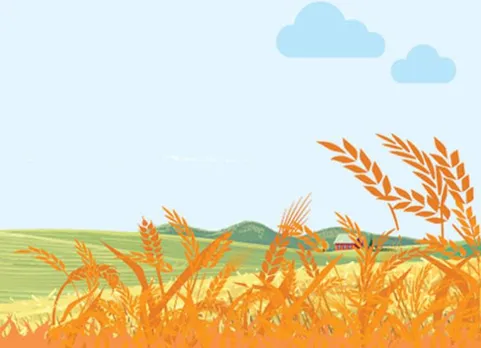 farmers