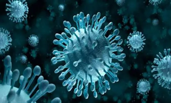 nipah virus