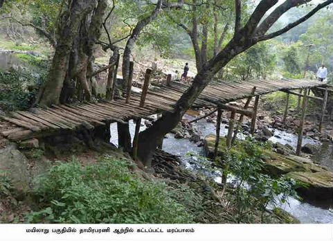 Surprising but true - bridge
