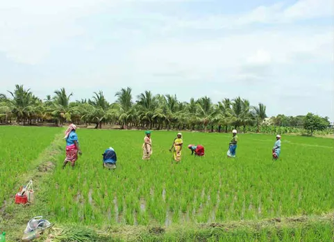 பெண் விவசாய கூலிகள்