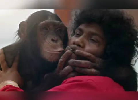 Gorilla Teaser, கொரில்லா