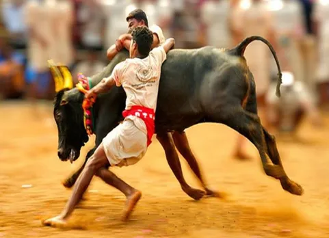 அலங்காநல்லூர் ஜல்லிக்கட்டு 2019