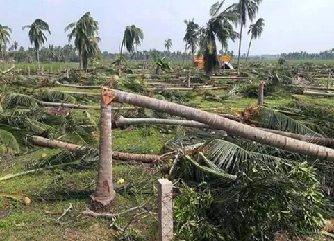 கஜா புயல் நிவாரணம்: ரூ.1,146 கோடி ஒதுக்கியது மத்திய அரசு