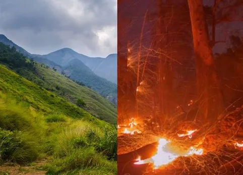 குரங்கணி மலைப் பகுதி