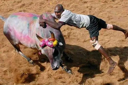 Jallikattu Places, ஜல்லிக்கட்டு தேதி