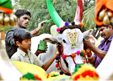 Mattu Pongal 2019