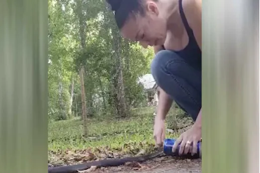snake viral video