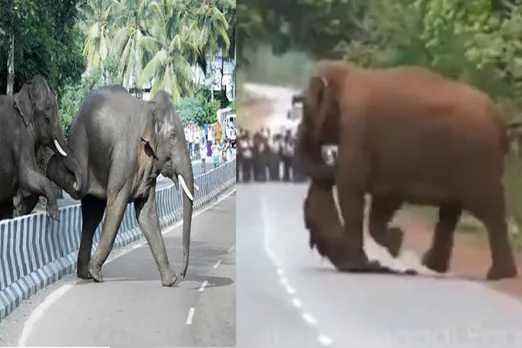Today viral