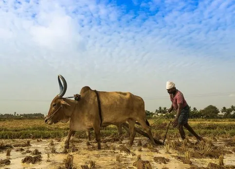 Global warming impacts Indian employments