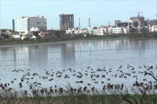 chennai high court, pallikaranai marshland, encroachment