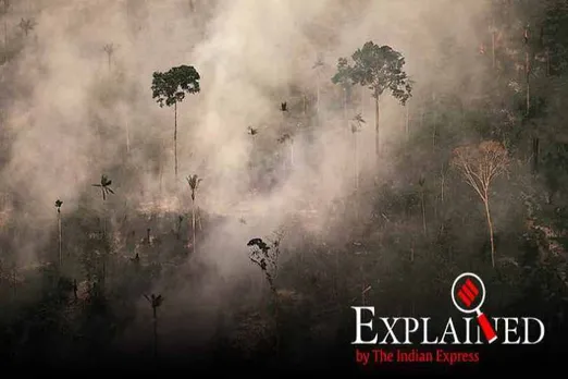 Amazon rainforest fire, Amazon forest fire, amazon fire, Brazil president on Amazon fires, Fires in the Amazon, Amazon rainforest fires, amazon fire photos