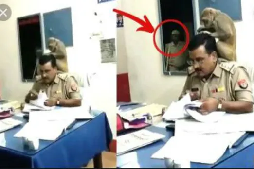 twitter viral today video