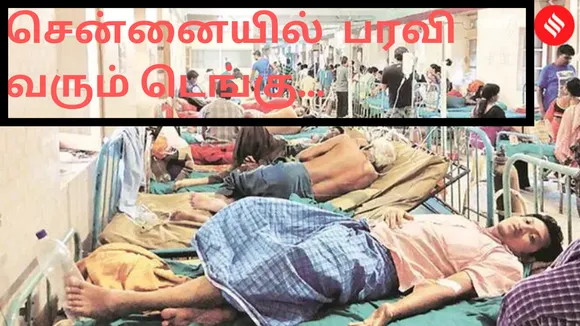 சென்னையில் தீவிரமாக பரவி வரும் டெங்கு..