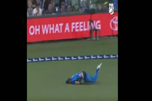phil salt catch video big bash league 2019 20 - தலையை முட்டுக் கொடுத்து கேட்ச் பிடிச்சு பார்த்து இருக்கீங்களா? - இதெல்லாம் எப்படி தான் முடியுமோ!! (வீடியோ)