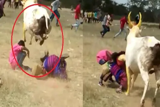 ஒரே பாய்ச்சலில் தாய், மகனை காப்பாற்றி மக்கள் மனதை வென்ற சிவகங்கை காளை (வீடியோ)