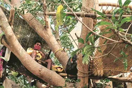 coronavirus outbreak, india lockdown, quarantined on tree, west bengal, west bengal village, covid-19, kolkata news, tamil indian express news