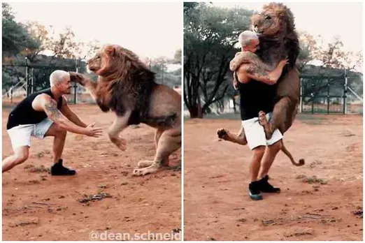 animalist dean shneider, south africa animalist dean shneider playing with lion, a man playing with lion, சிங்கத்துடன் விளையாடும் மனிதன், வைரல் வீடியோ, டீன் ஷ்னீடர், man growing a lion, man playing with lion viral video, a man playing wild animal, dean shneider instagram viral video, தமிழ் வைரல் செய்தி, தமிழ் வீடியோ செய்தி, tamil viral news, tamil video news