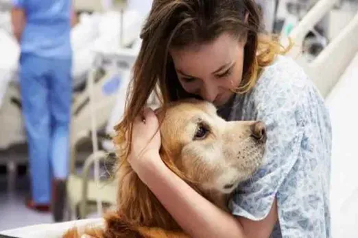 corona virus, therapy dogs, doctors and nurses, stress buster, managing stress, health, indian express, indian express news, covid19, coronavirus news, healthcare workers,coronavirus tamil news, coronavirus tamil nadu news, coronavirus chennai news, coronavirus Tamil nadu, coronavirus outbreak