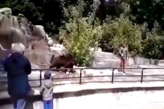 bear, man fight with bear viral video, Warsaw zoo, man bear fight viral video, கரடியுடன் மல்லுகட்டிய போதை ஆசாமி, வைரல் வீடியோ, bear viral video, man attacks bear viral video, lockdown, கரடி, கொரோனா வைரஸ், கோவிட்-19, covid-19, ooronavirus, trending, tamil indiane express, tamil indian express news, tamil viral news, latest tamil viral video news, latest news in tamil