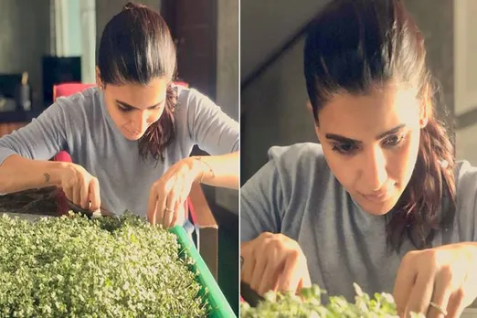 Samantha Akkineni Micro greens harvesting
