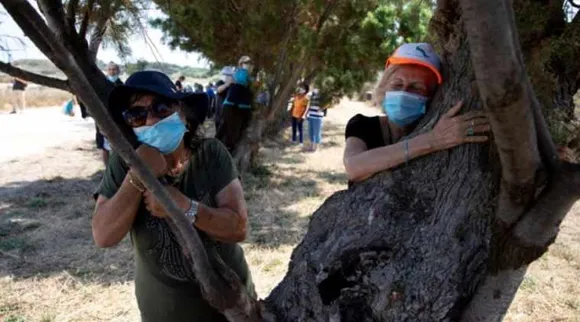 Israel, Coronavirus, COVID-19, hugging trees, Lockdown blues, COVID-19 lockdown, social distancing, Trending news, Indian Express news