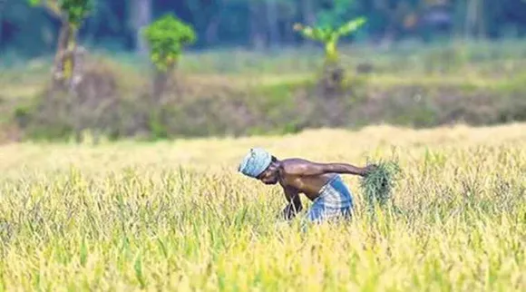 PM Kisan Samman Nidhi scheme