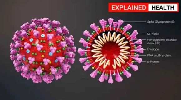 Coronavirus, Covid-19, SARS-CoV-2 spike protein, SARS CoV-2 human cell, coronavirus human cell, covid-19, coronavirus news, coronavirus tamil news, coronavirus tamil nadu news, coronavirus chennai news, coronavirus Tamil nadu, coronavirus outbreak