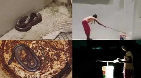 Keerthi Pandian Catching Snake