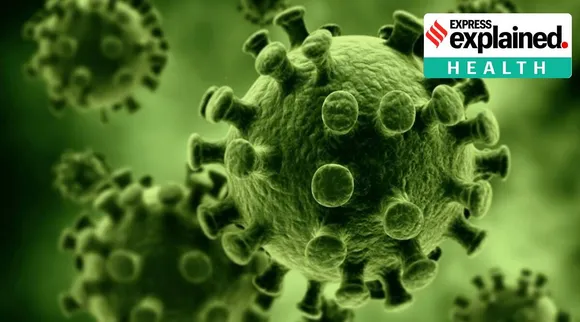 Corona Virus updates Tamil News